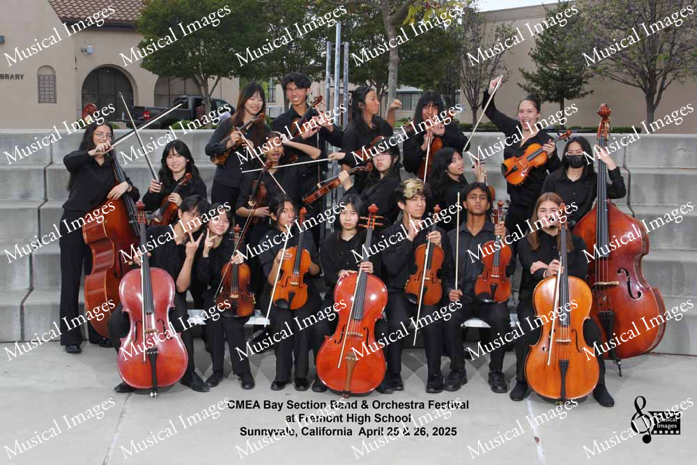 Musical Images